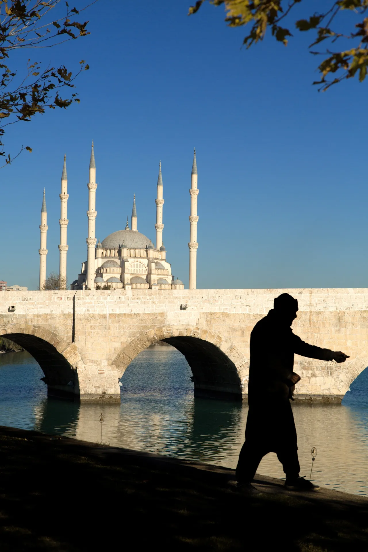 Fotoğraf 14