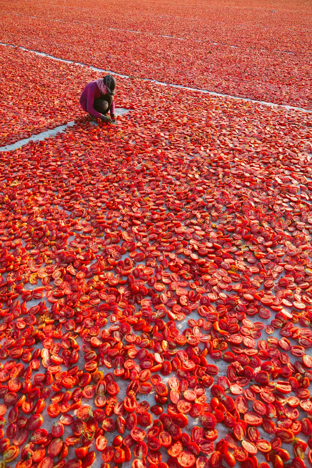 Fotoğraf 30