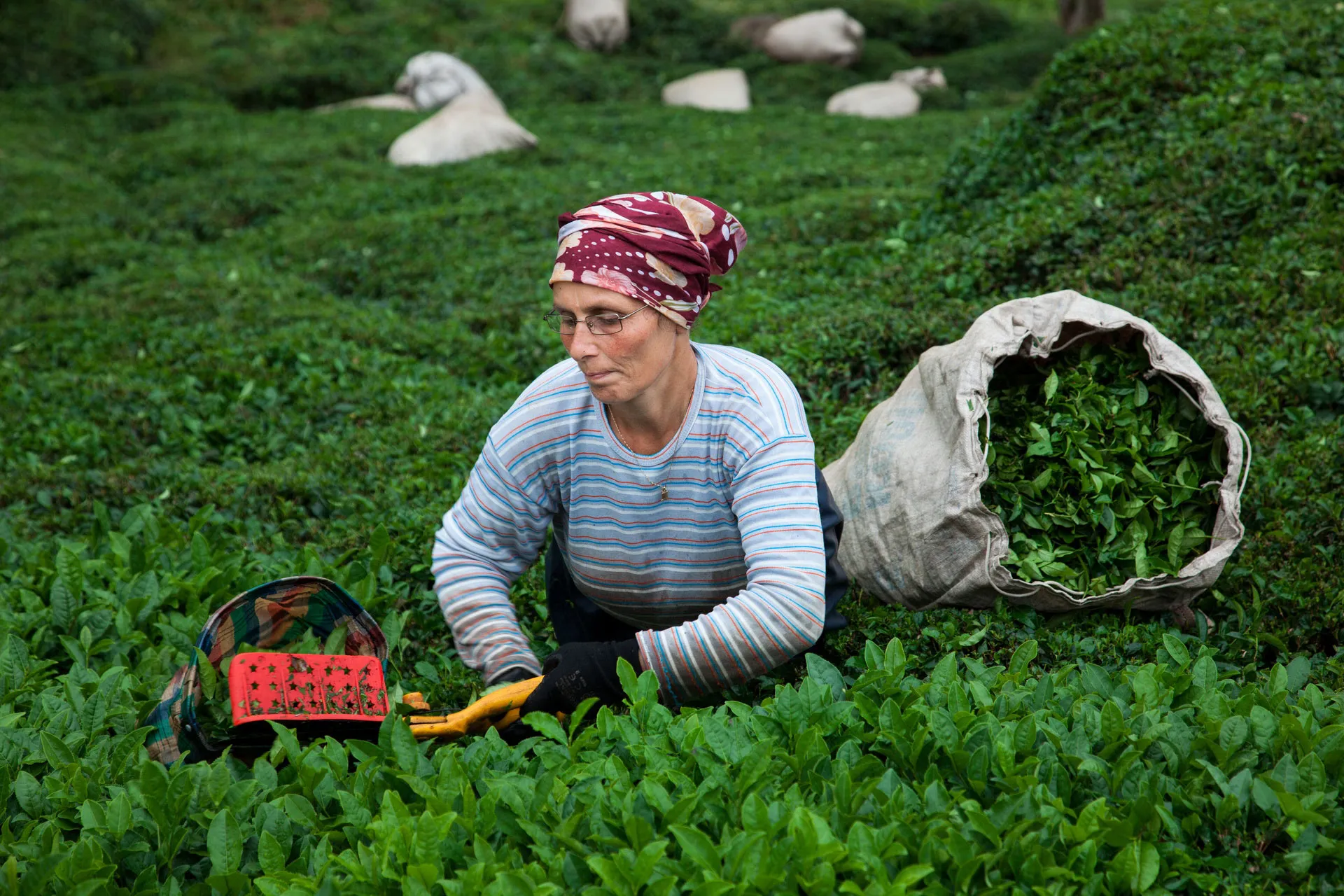 Fotoğraf 47