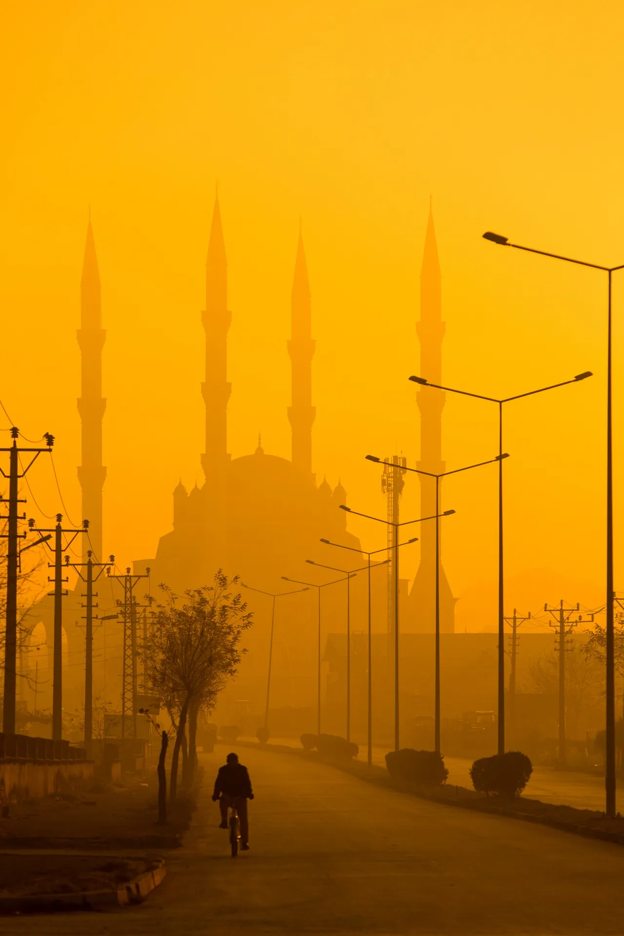 Fotoğraf 50