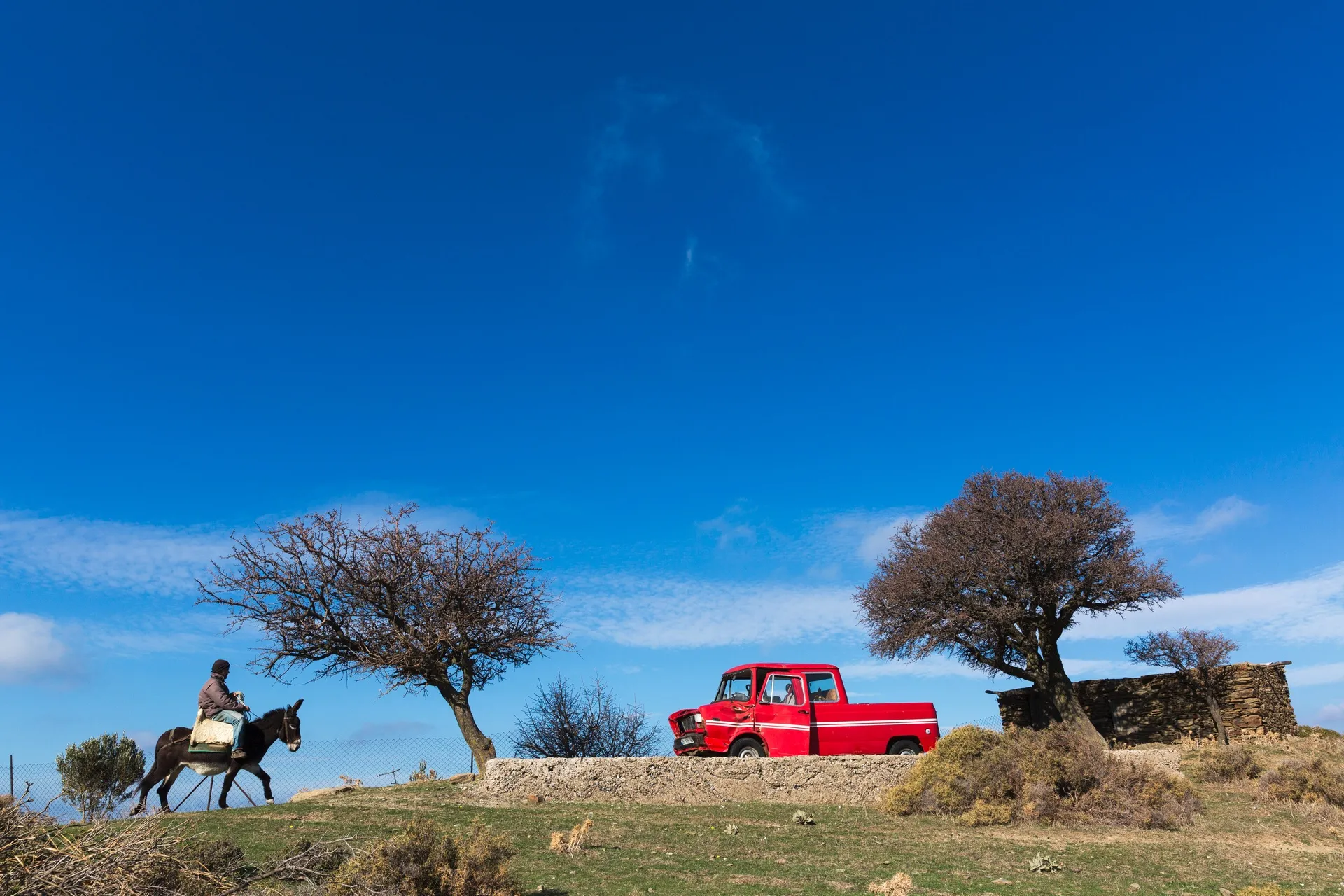 Fotoğraf 57
