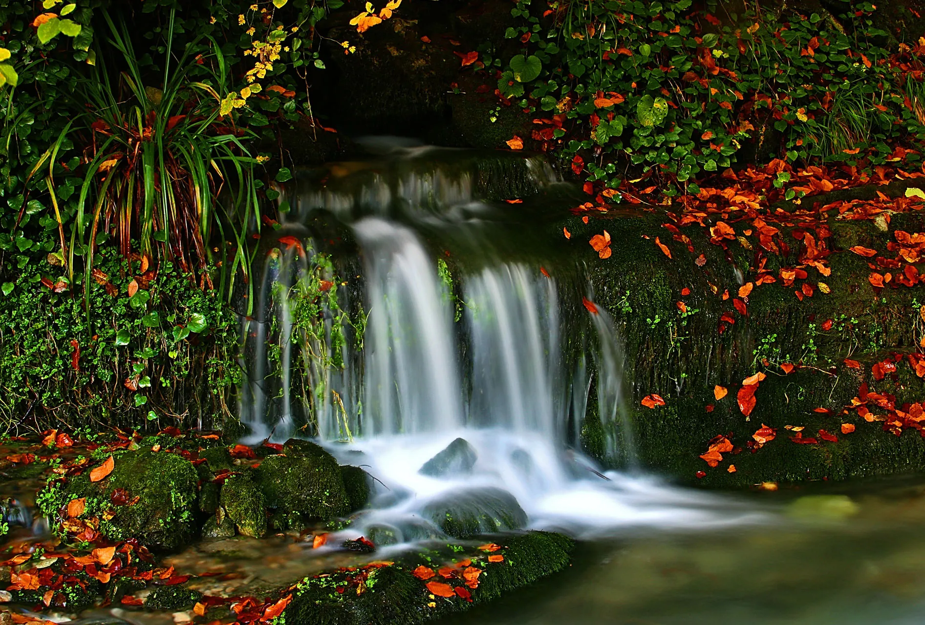 Fotoğraf 78